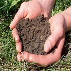ضد عفونی خاک