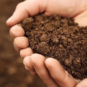 ضد عفونی خاک