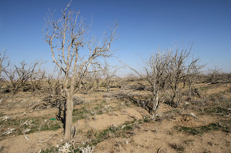 کاهش خسارت خشکسالی