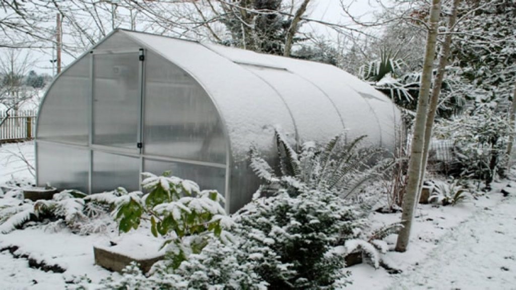 آماده‌سازی گلخانه در زمستان
