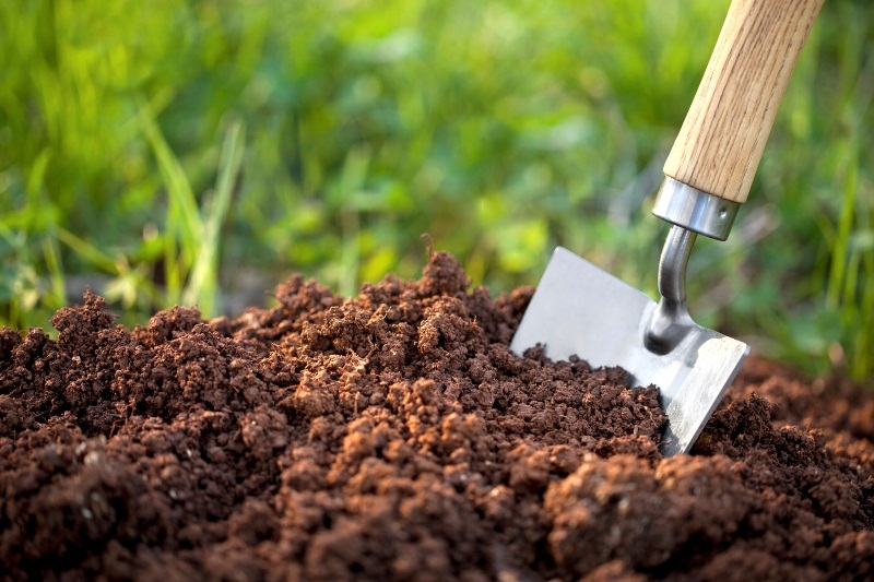 کیفیت خاک در کشاورزی