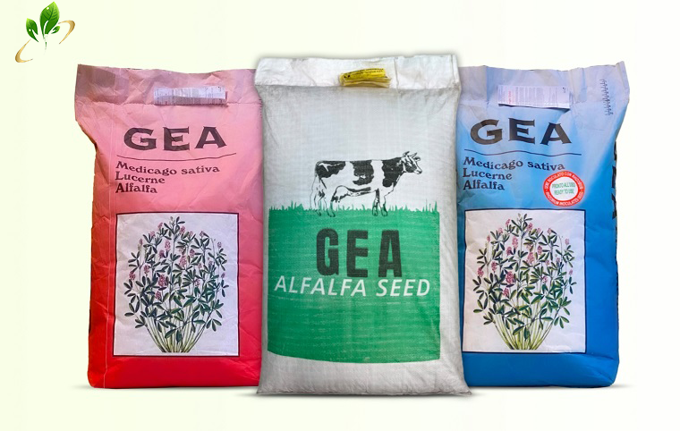 بذر یونجه ایتالیایی gea , بهترین بذر یونجه خارجی در ایران است که در سه بسته بندی آبی قرمز و سفید به بازار عرضه میگردد.